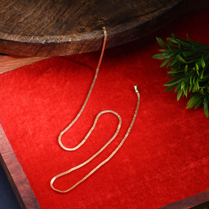 Silver Plated Anklets & 22 inch Gold Plated Chain